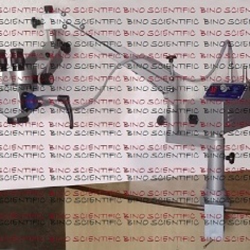 Portable ent microscope